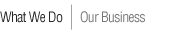 What We Do